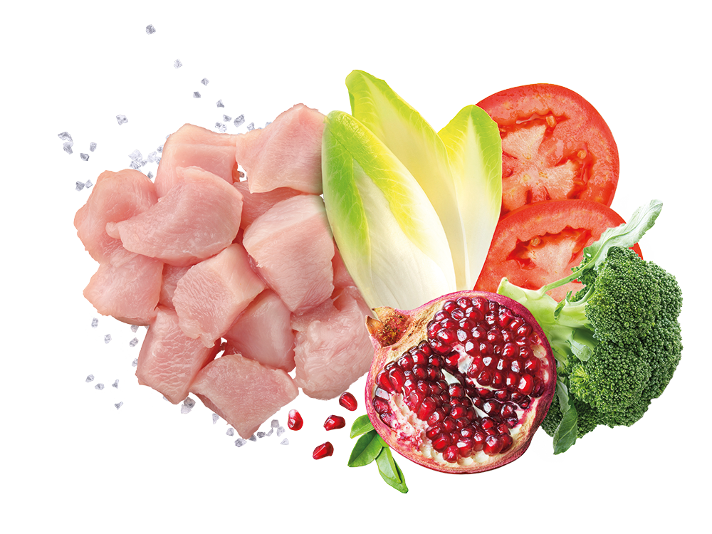 Exclusion Mediterraneo Puppy Large Breed Pollo