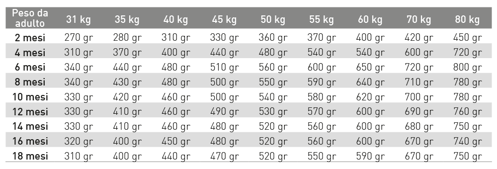 Exclusion Mediterraneo Puppy Large Breed Pollo