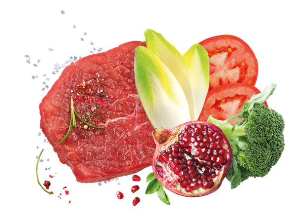 Exclusion Mediterraneo Puppy Medium Breed Manzo