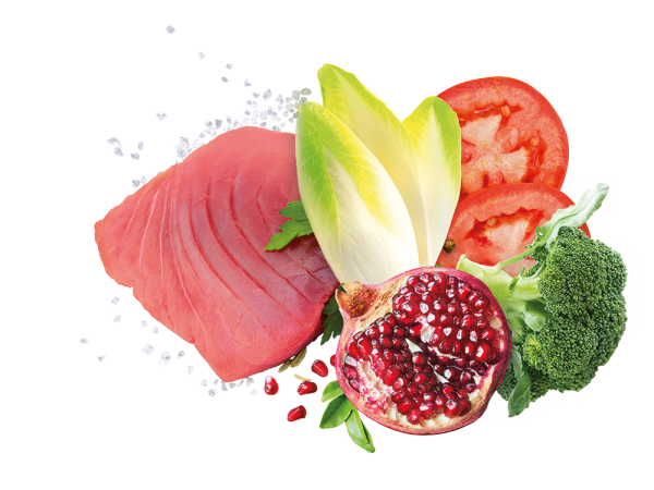 Exclusion Mediterraneo Puppy Medium Breed Tonno