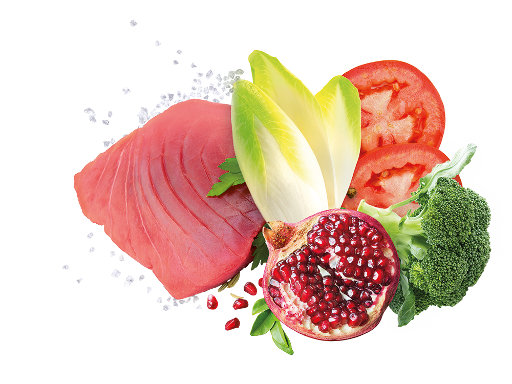 Exclusion Mediterraneo Puppy Medium Breed Tonno