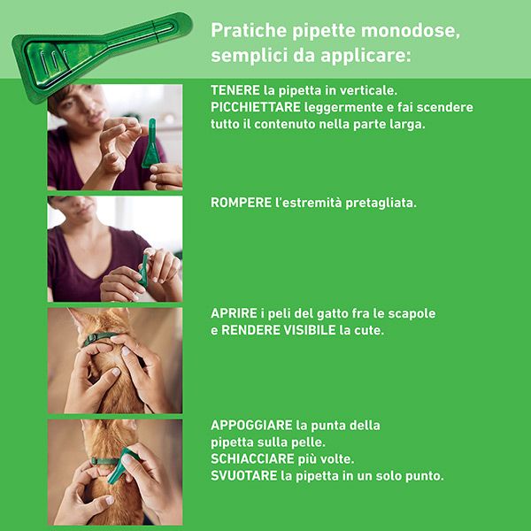 Antiparassitario Frontline Combo – 1/3/6 Pipette Gatti e Furetti