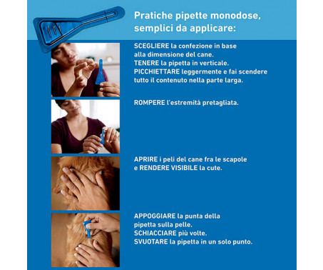 Antiparassitario Frontline Spot On – 3 Pipette Cani