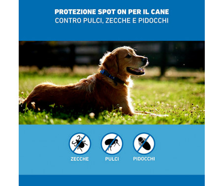 Antiparassitario Frontline Spot On – 3 Pipette Cani