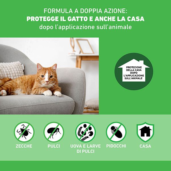 Antiparassitario Frontline Combo – 1/3/6 Pipette Gatti e Furetti