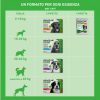 Antiparassitario Frontline Combo – 3 Pipette Cani