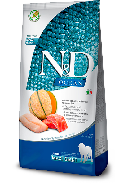 N&D Ocean Adult Maxi Giant Salmone, Merluzzo e Melone Cantalupo