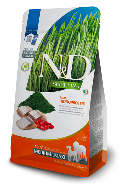 N&D Spirulina Dog Aringa e Goji Adult Medium/Maxi