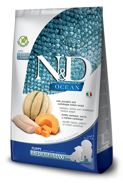 N&D Ocean Puppy Medium/Maxi Merluzzo, Zucca e Melone Cantalupo