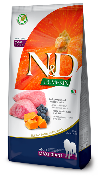 N&D Pumpkin Adult Maxi Giant Agnello, Zucca e Mirtillo