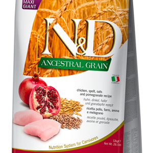 N&D Ancestral Grain Adult Maxi Giant Pollo e Melograno
