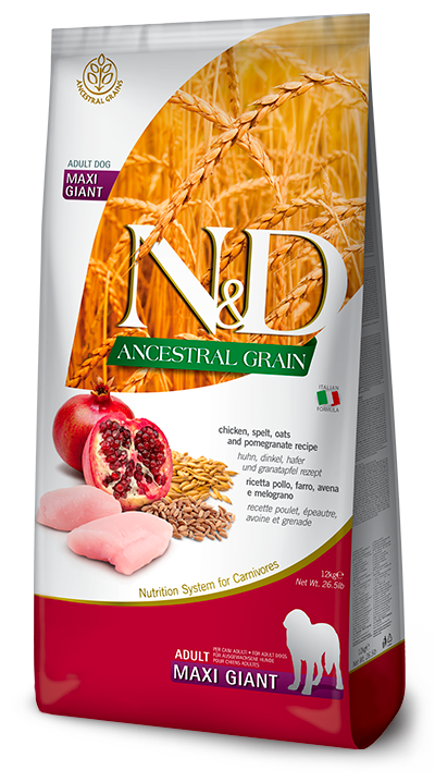 N&D Ancestral Grain Adult Maxi Giant Pollo e Melograno