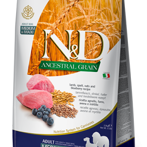 N&D Ancestral Grain Adult Medium/Maxi Agnello e Mirtillo