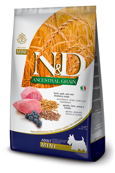 N&D Ancestral Grain Adult Mini Agnello e Mirtillo