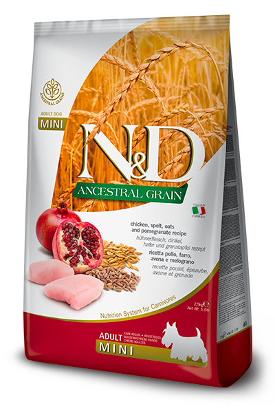 N&D Ancestral Grain Adult Mini Pollo e Melograno