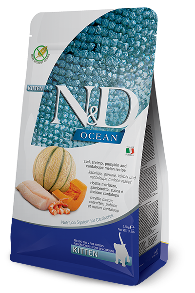 N&D Ocean Cat Merluzzo, Gamberi, Zucca e Melone Kitten