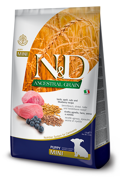 N&D Ancestral Grain Puppy Mini Agnello e Mirtillo