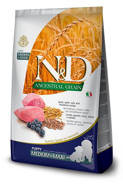 N&D Ancestral Grain Puppy Medium/Maxi Agnello e Mirtillo