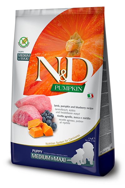 N&D Pumpkin Puppy Medium/Maxi Agnello, Zucca e Mirtillo