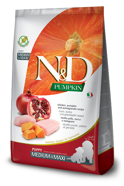 N&D Pumpkin Puppy Medium/Maxi Pollo, Zucca e Melograno