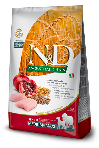 N&D Ancestral Grain Senior Medium/Maxi Pollo, Melograno, Farro e Avena