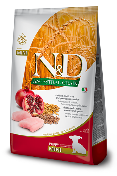 N&D Ancestral Grain Puppy Mini Pollo e Melograno